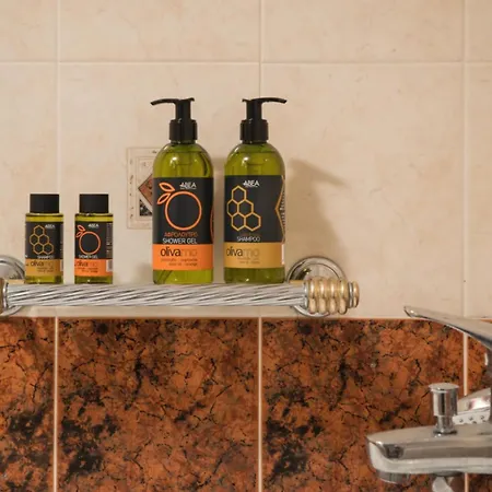 شقة Somine Chania *